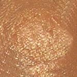 Trousse Eyeshadow Cotti