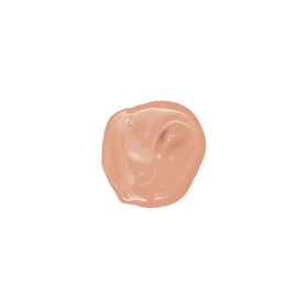 Absolute Perfection Foundation